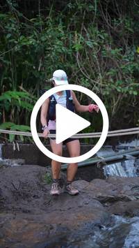 BIB:  <button type="button" onclick="openModal(27706707)" class="btn btn-primary btn-sm float-right" data-toggle="modal" data-target=".modal-high-quality">
                <i class="fa fa-download"></i> Download
                </button>